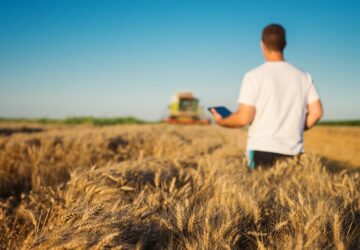 Agritech: o empreendedorismo no agronegócio