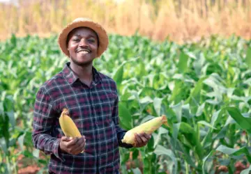 Como criar um Cadastro de produtor rural: passo a passo, simples e completo!