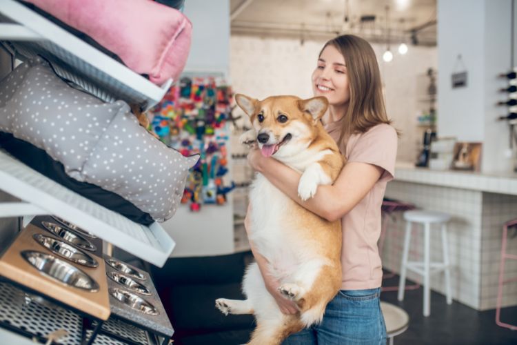 12 ações para aumentar as vendas no seu pet shop
