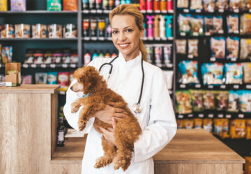 Gestão de Pet Shop: o uso do ERP vhsys para gerir melhor e lucrar mais