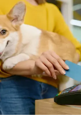 Preço de venda de serviços em pet shop: como calcular sem comprometer o lucro