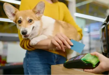 Preço de venda de serviços em pet shop: como calcular sem comprometer o lucro