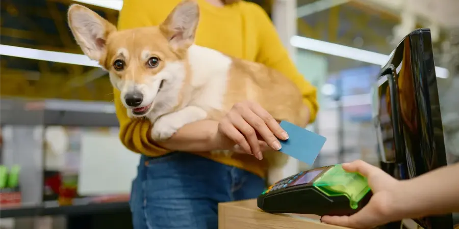 Preço de venda de serviços em pet shop: como calcular sem comprometer o lucro